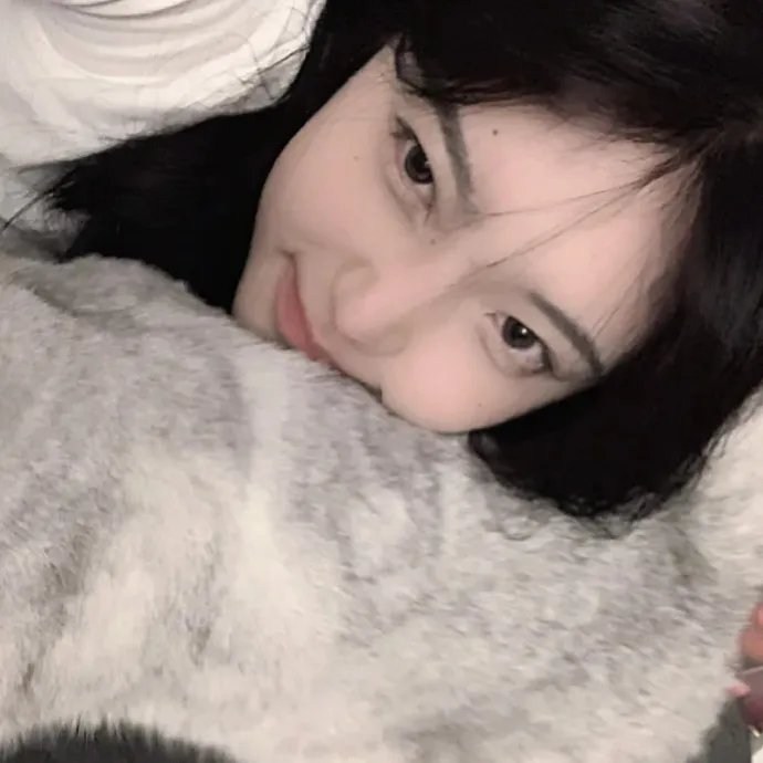 三脚猫圣诞节